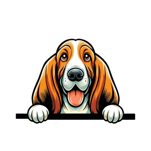 Bassett Hound