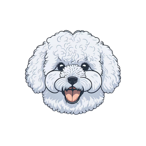 Bichon Frise