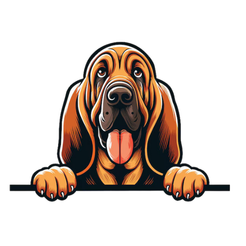 Bloodhound