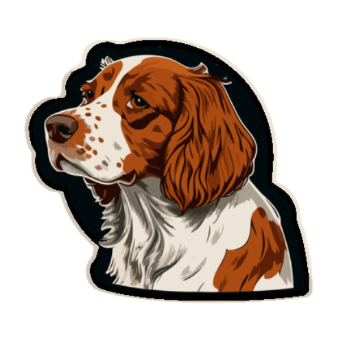 Brittany Spaniel