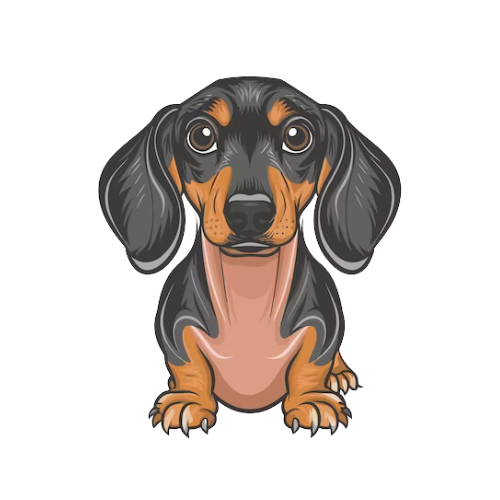 Dachsund