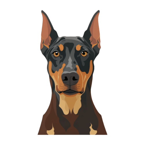 Doberman