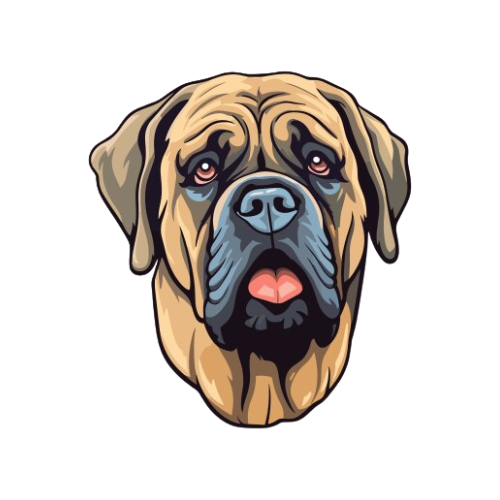 English Mastiff