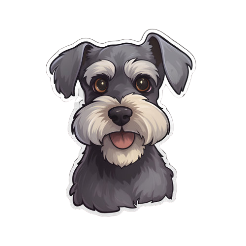 Mini Schnauzer