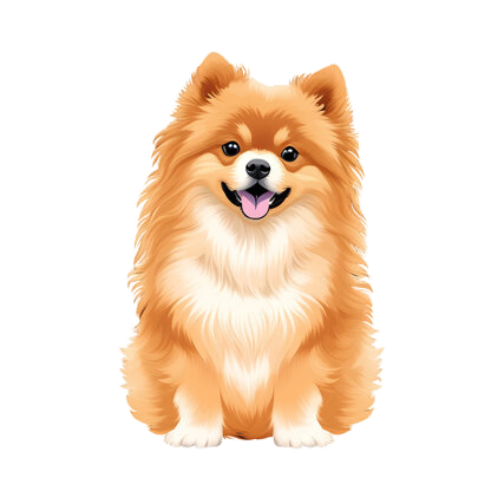 Pomeranian