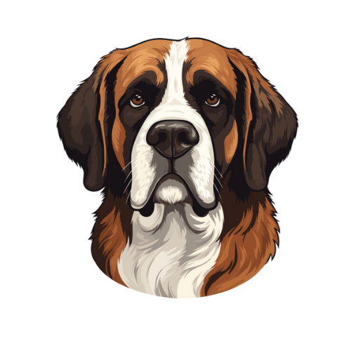 St. Bernard