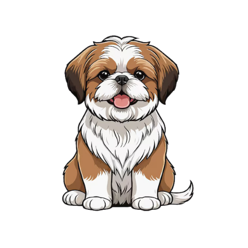 Shih Tzu