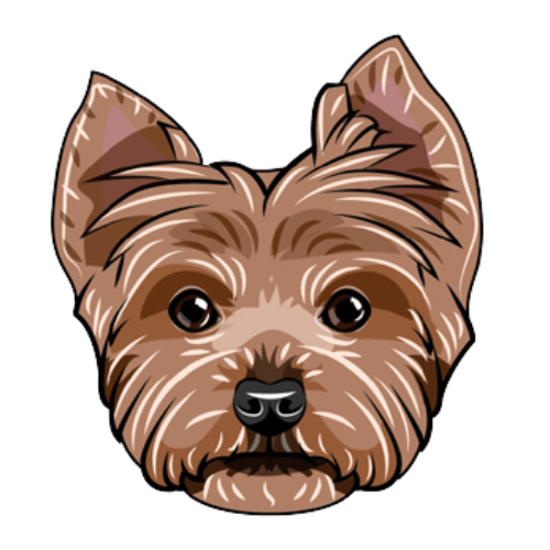 Yorkie