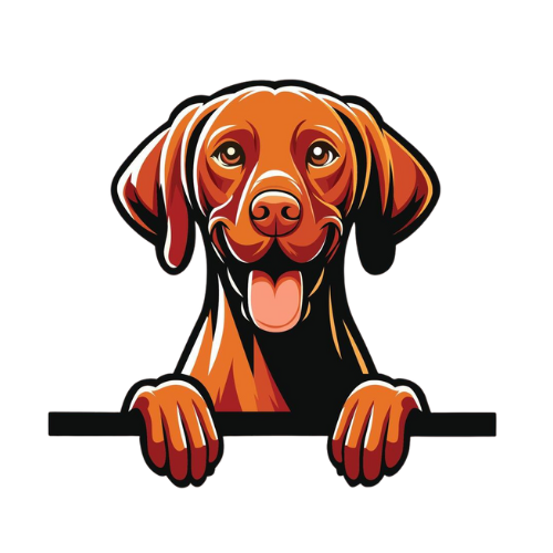 Vizsla 